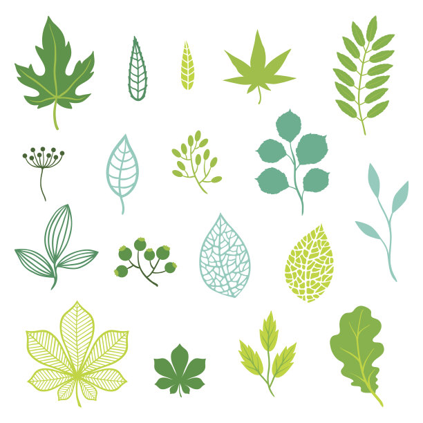 叶子矢量图素材ID：132616276