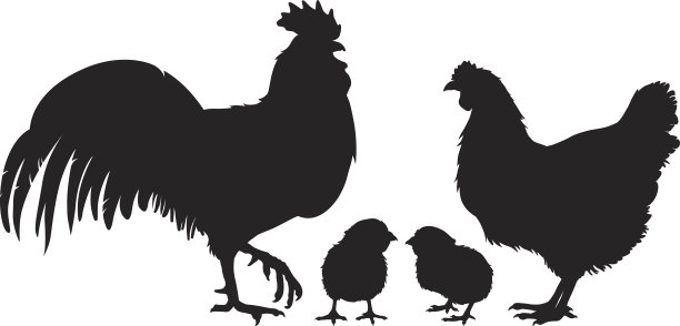 鸡家族的轮廓图片下载