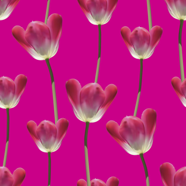 现实的郁金香矢量无缝模式图片下载