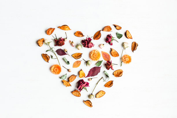 用干花和秋叶做成的心的象征素材图片