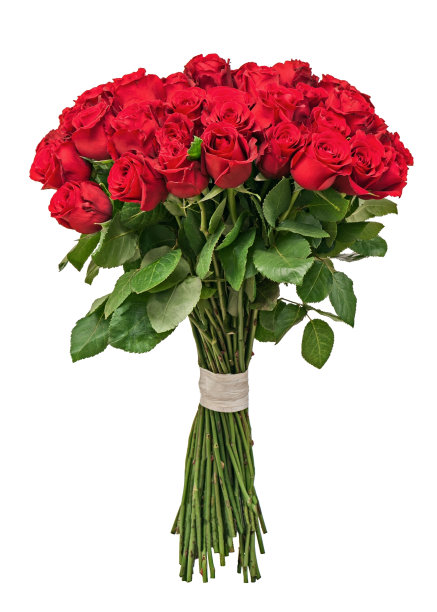 彩色花束孤立在白色背景上。素材图片