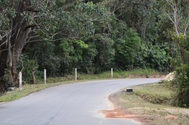 去Ranomafana国家公园的路图片下载