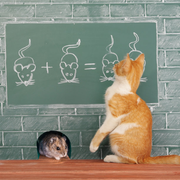 动物学校图片下载