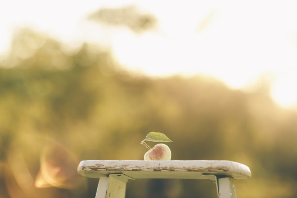 农场苹果图片下载