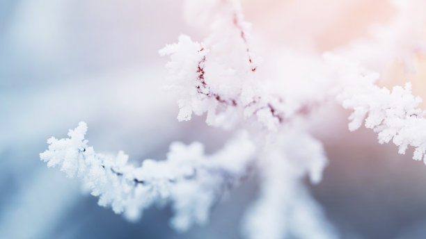 大寒节气照片素材ID：132670048