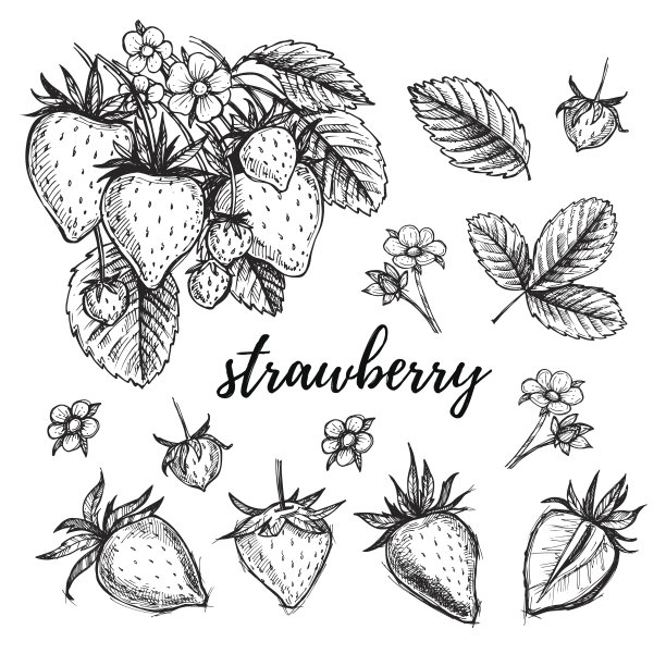 草莓矢量图素材ID：132682642