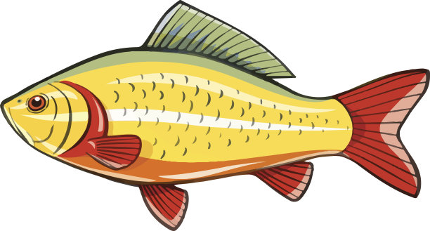 鱼捕鱼河矢量插图图片下载