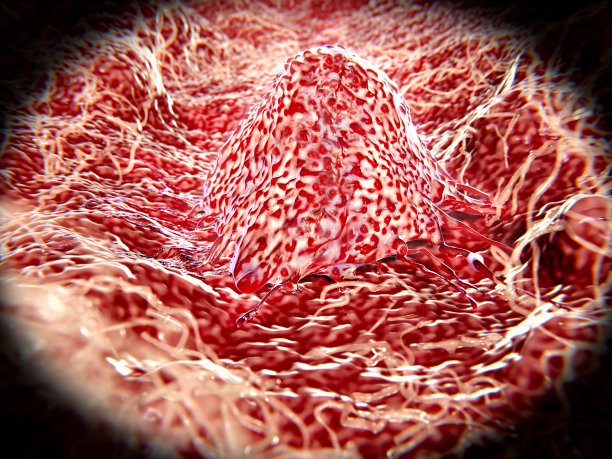 癌症细胞迁移图片下载