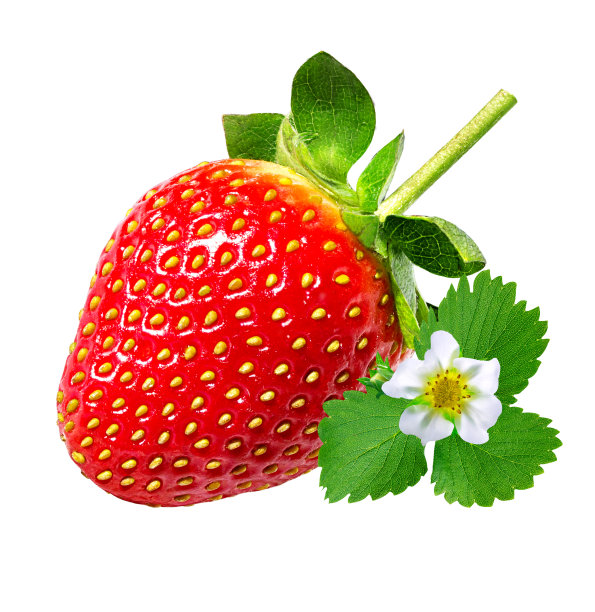 草莓在白图片下载