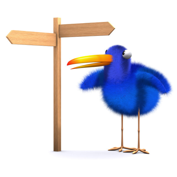 3蓝色的鸟丢失了图片下载