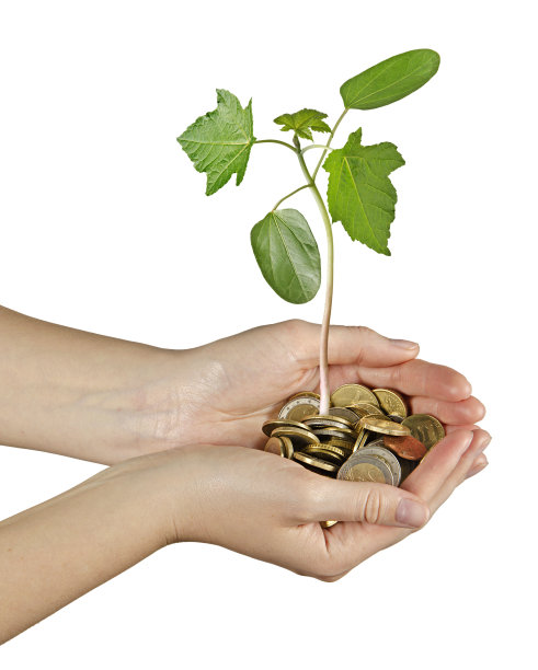 17、手牵货币，绿苗生图片下载