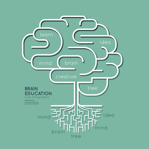 平面线性信息图教育大纲脑根概念。图片下载