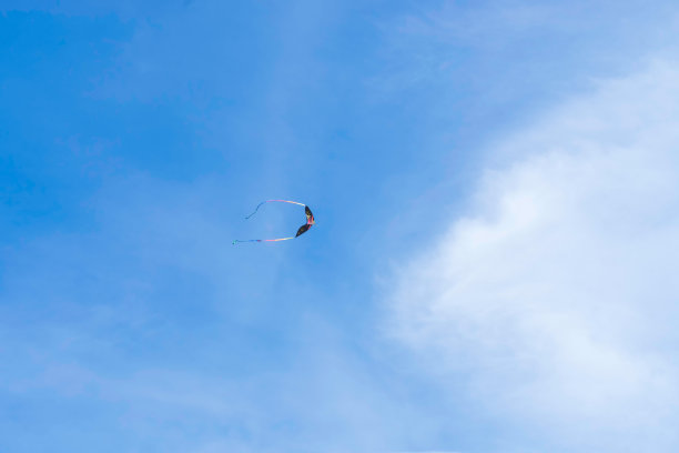 蓝色天空中的黑色风筝图片下载