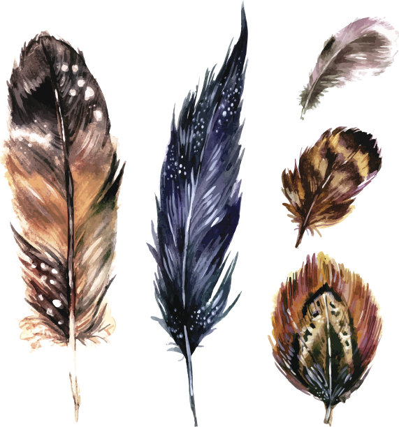 水彩羽毛集图片下载