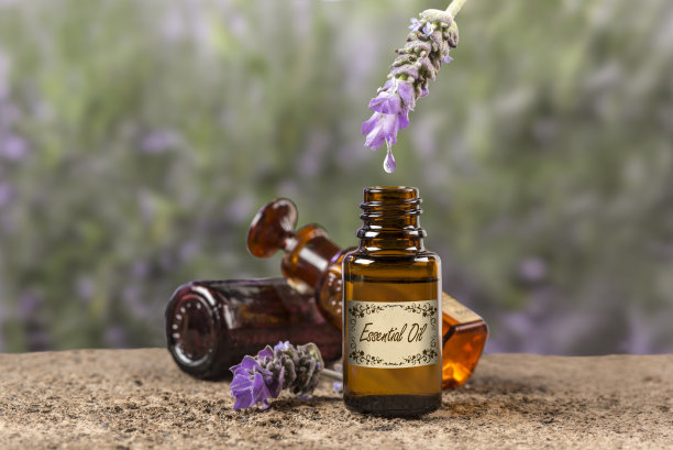 薰衣草精油滴图片下载