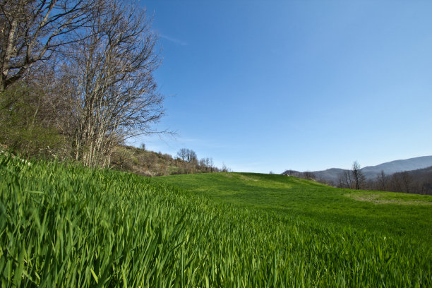 山地草甸图片下载