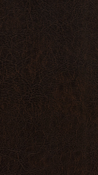 皮革质地图片下载