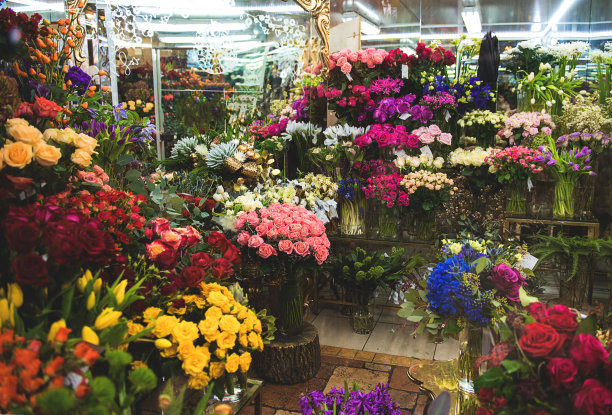 美丽的各色玫瑰在商店图片下载