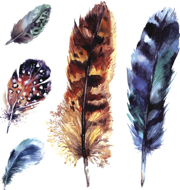 水彩羽毛集图片下载