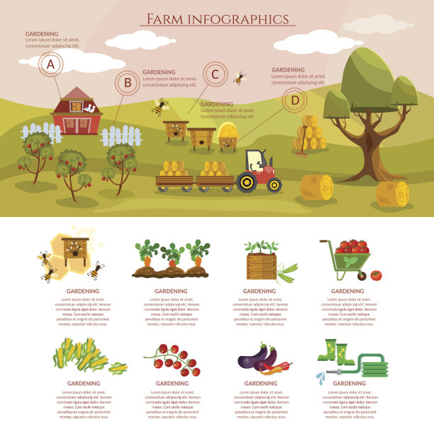 农场信息图自然食物农业对象图片下载