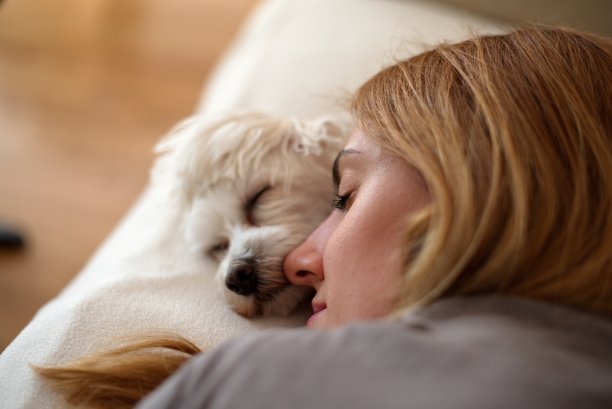 女人和狗睡在一起图片下载
