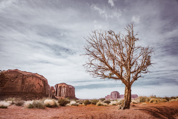 纪念碑谷-美利坚合众国图片下载