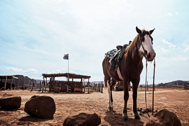 马在纪念碑谷-美国图片下载