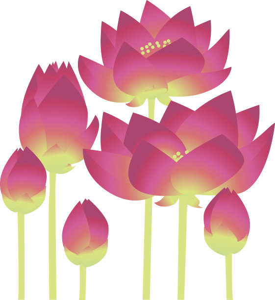 粉色莲花百合装饰花卉元素。矢量图图片下载