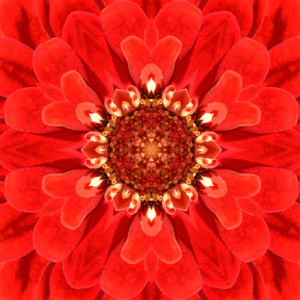 红色曼荼罗同心花心万花筒图片下载