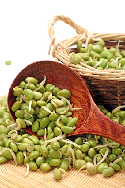 白色背景上的大豆芽图片下载