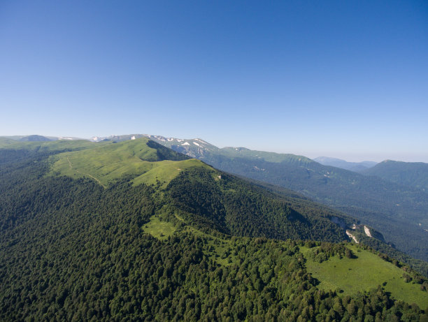 山脊上覆盖着森林。山的风景。图片下载