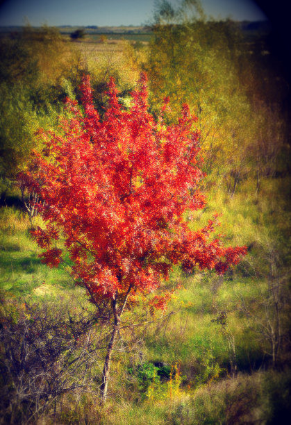 红色突出图片下载