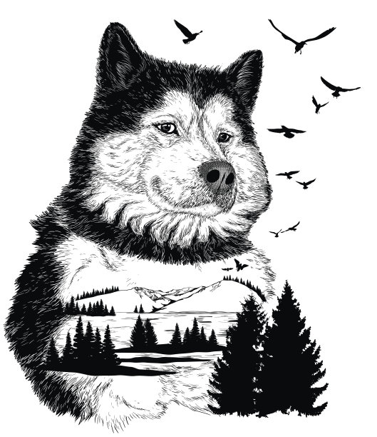 矢量手绘制狼为您的设计图片下载