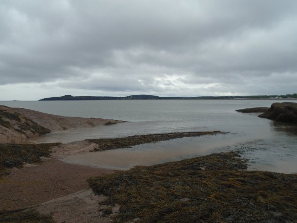 芬迪湾退潮图片下载