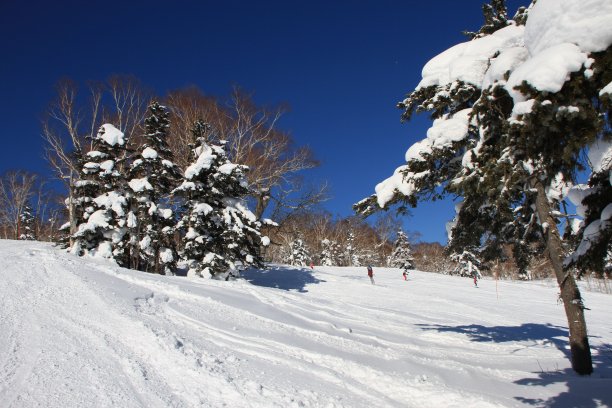 札幌市的滑雪场图片下载