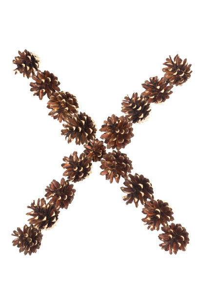 字母X由松果制成图片下载
