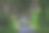 黑暗的树篱，北爱尔兰。图片下载