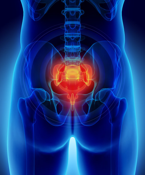 骶骨疼痛的三维图示。素材图片