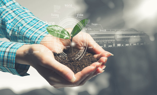 手中的新生命：混合媒介图片下载