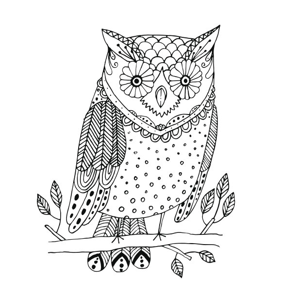 手绘黑白插图猫头鹰飞鸟。图片下载