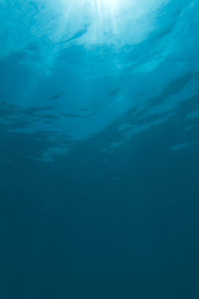 水下阳光与光线背景图片下载