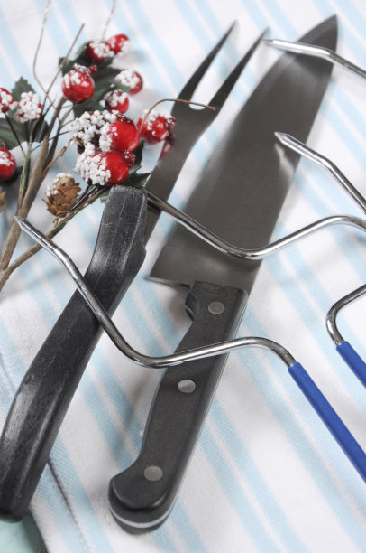 圣诞烤火鸡雕刻器皿套装图片下载