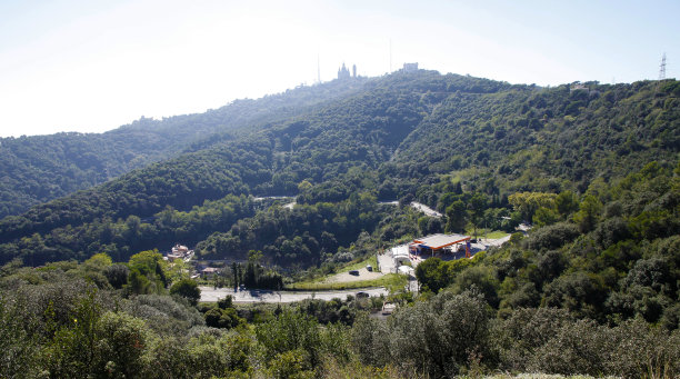 树木和建筑物顶空俯视图片下载