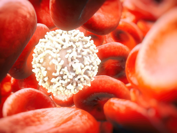 癌症细胞图片下载