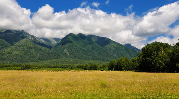 西伯利亚山脚下的牧场图片下载