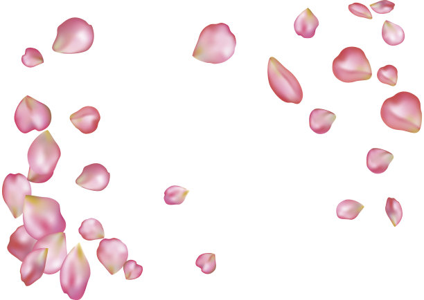 抽象背景与飞舞的粉色玫瑰花瓣。图片下载