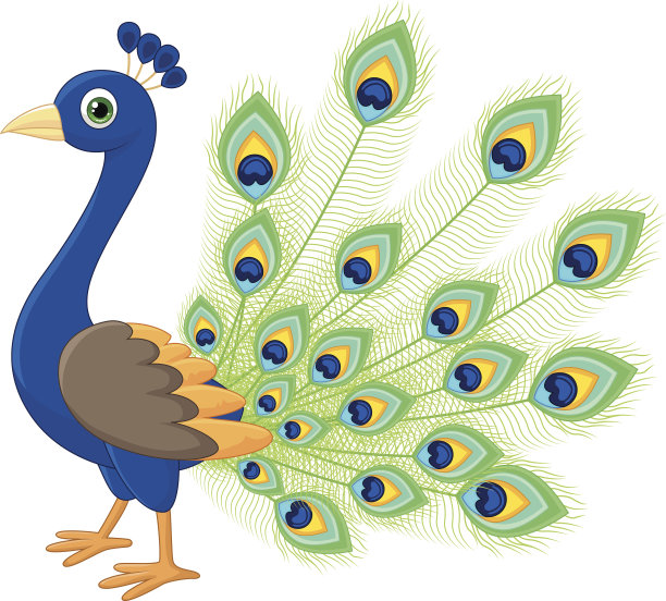 孔雀卡通图片下载