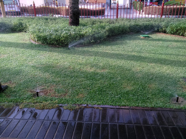 的草坪浇水图片下载