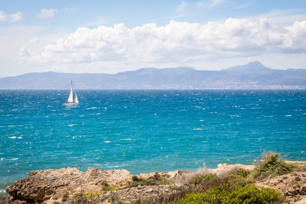 白色的帆船图片下载
