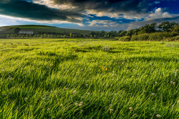 夏天在乡村山上的景色图片下载